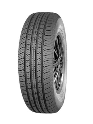 Roadwing RW-581